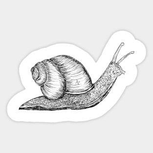 snail Sticker